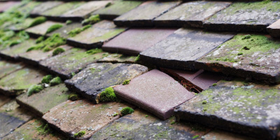 Hanslope roof repair costs